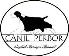 Canil Perbor