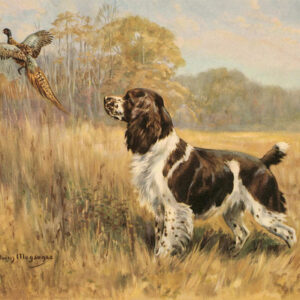 Edwin_Megargee_-_Springer_Spaniel_11x14_rfhucr__80475